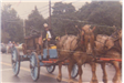 Horse-Drawn Fire Cart in a Parade